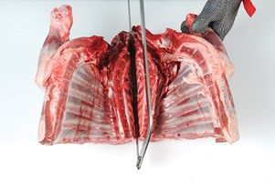 Meat Cut Spec Step 4